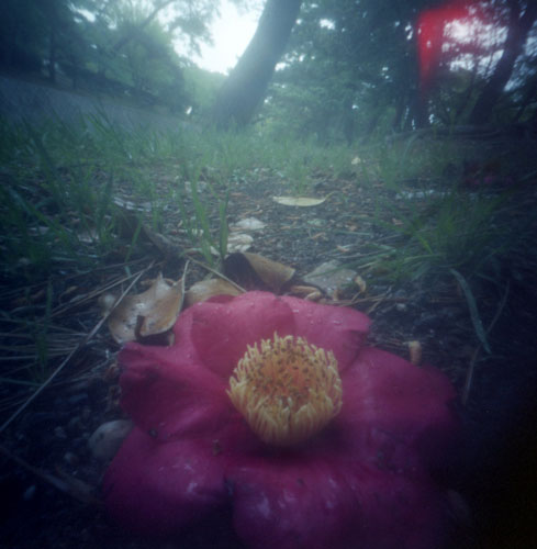 pinhole photograph