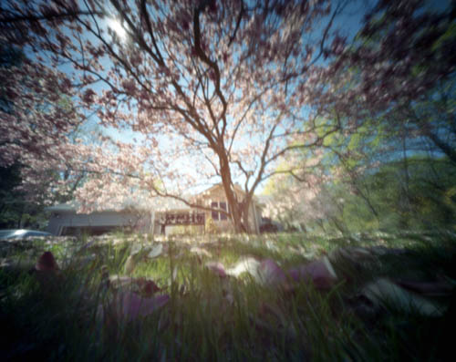 pinhole photograph