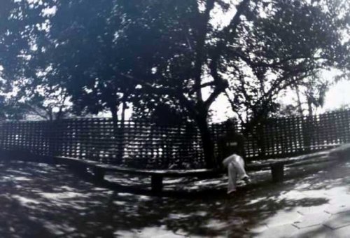 pinhole photograph