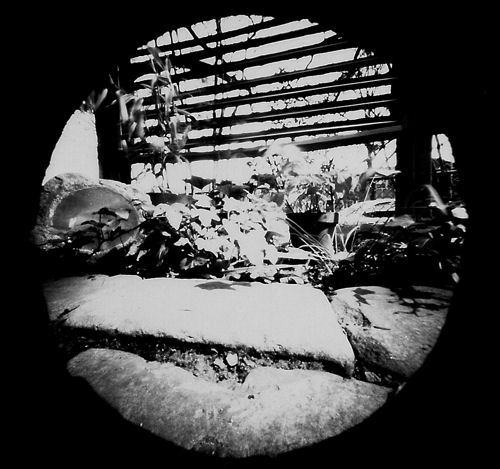 pinhole photograph