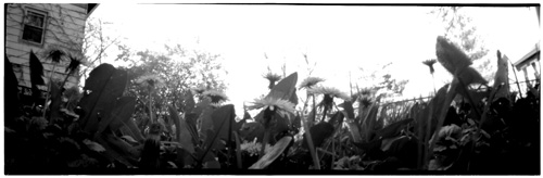 pinhole photograph