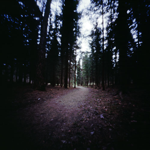 pinhole photograph