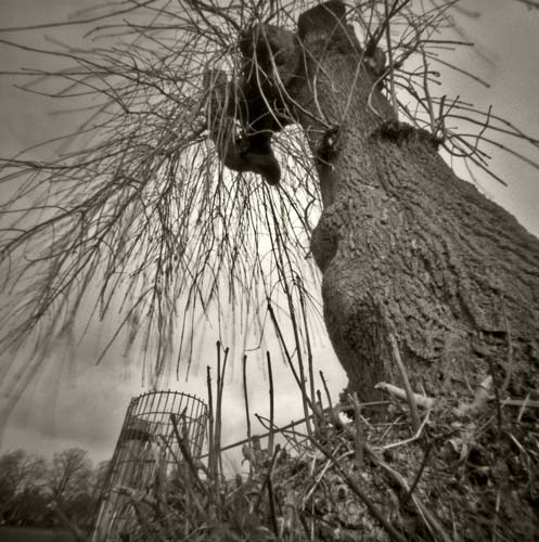 pinhole photograph