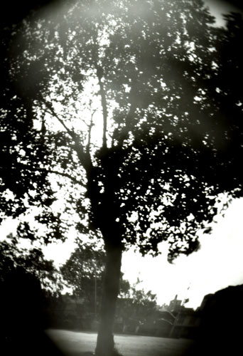 pinhole photograph