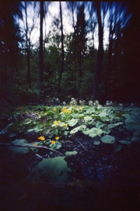 pinhole photograph