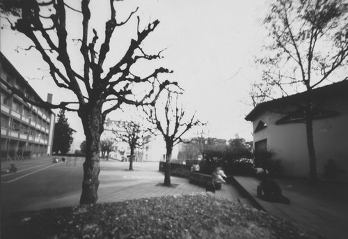 pinhole photograph