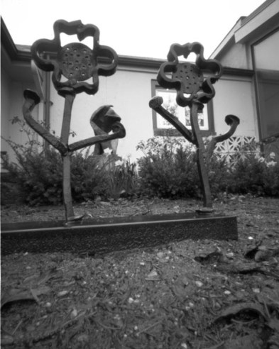 pinhole photograph
