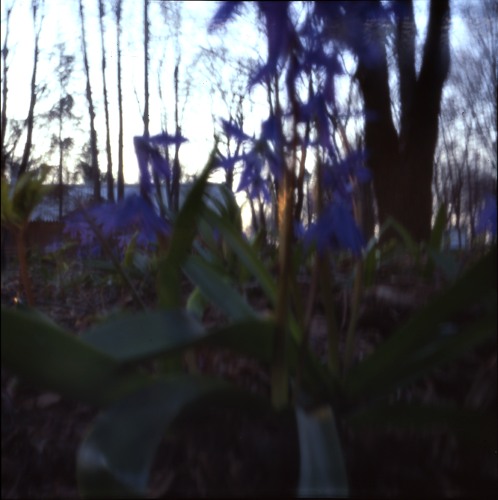 pinhole photograph