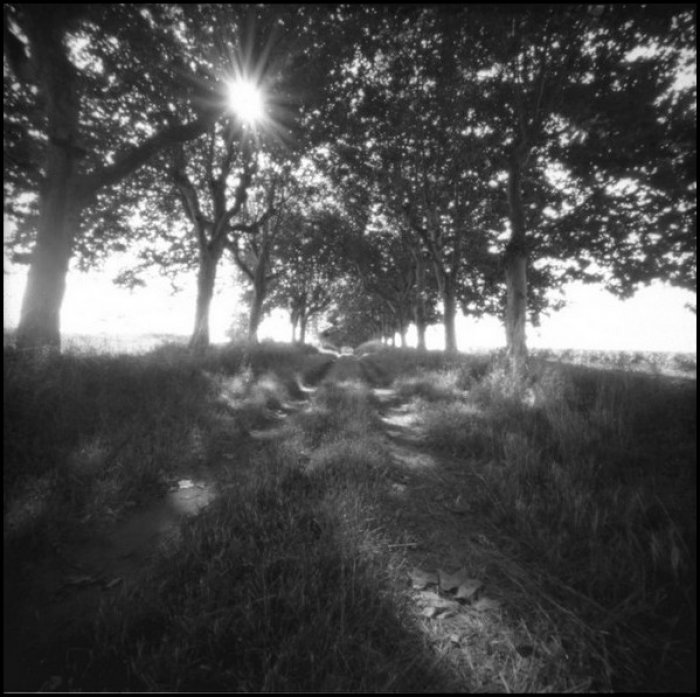 pinhole photograph