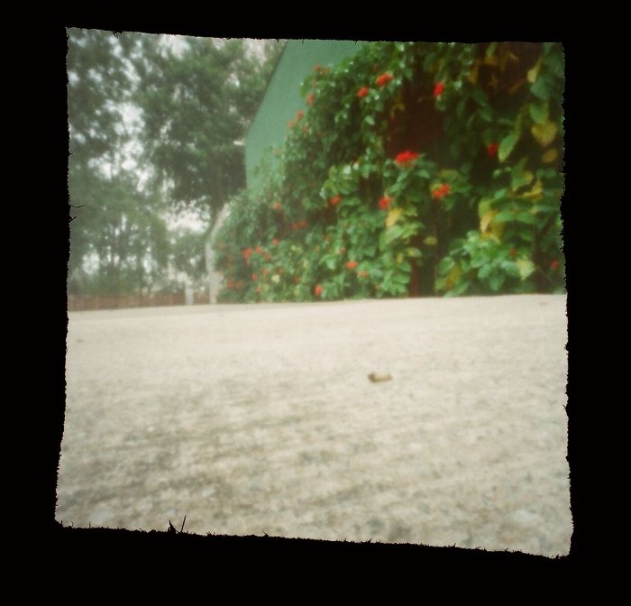 pinhole photograph