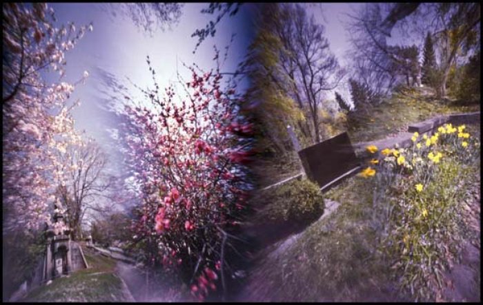 pinhole photograph