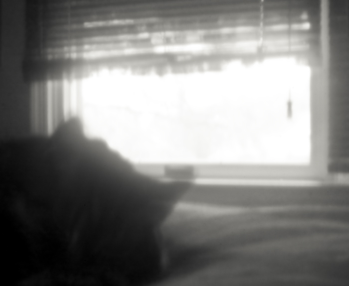 pinhole photograph