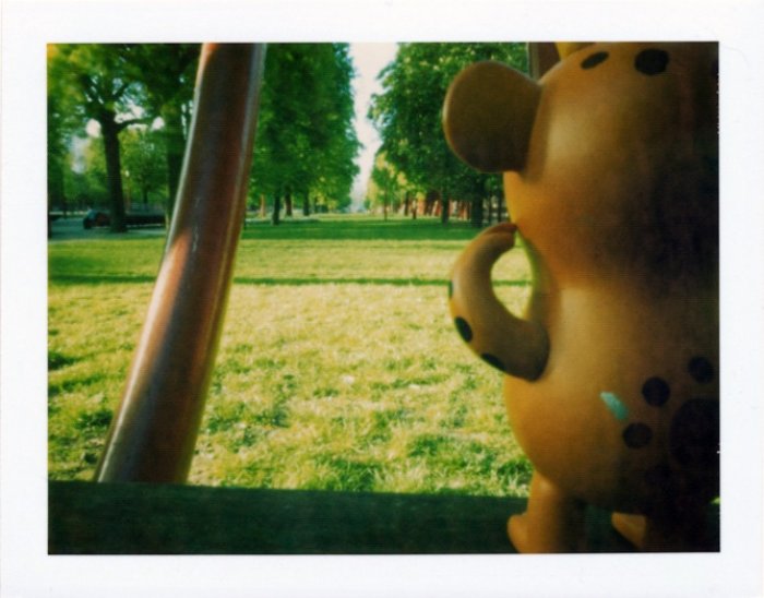 pinhole photograph
