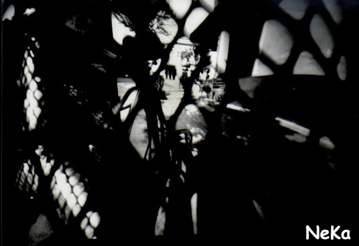 pinhole photograph