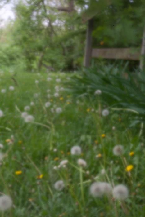 pinhole photograph
