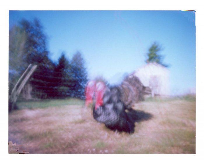 pinhole photograph