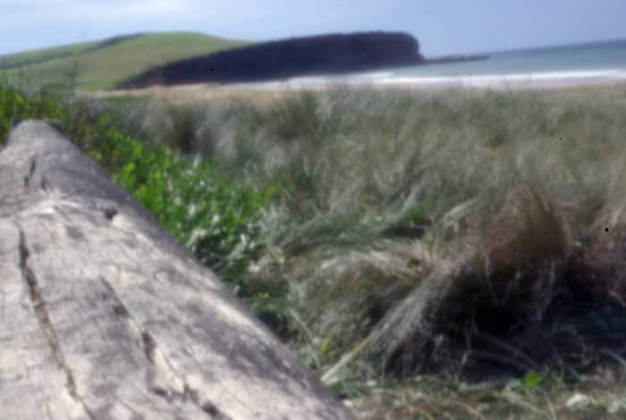 pinhole photograph