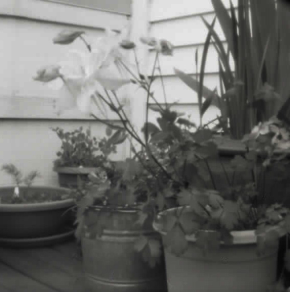 pinhole photograph