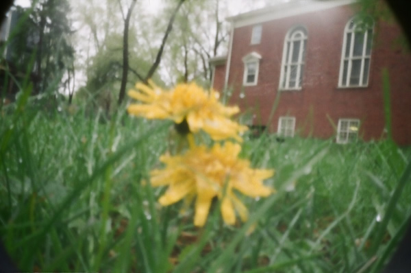 pinhole photograph