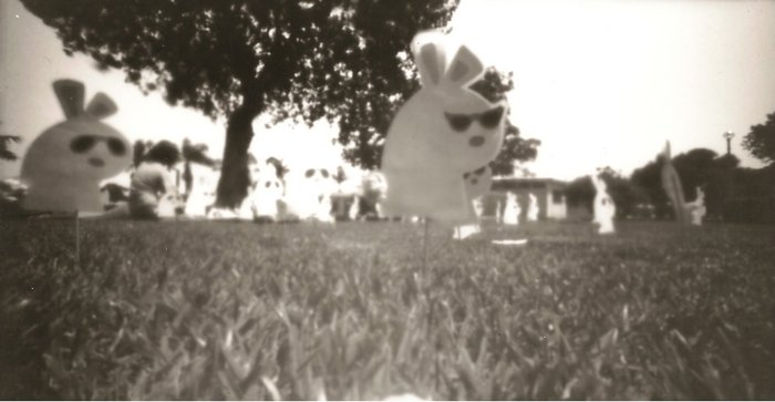 pinhole photograph