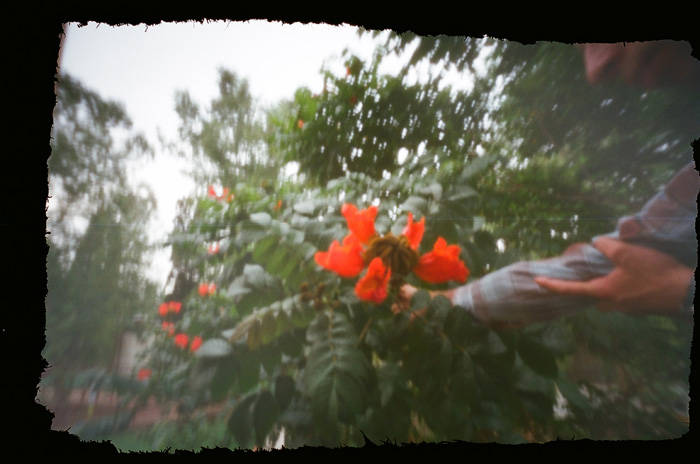 pinhole photograph