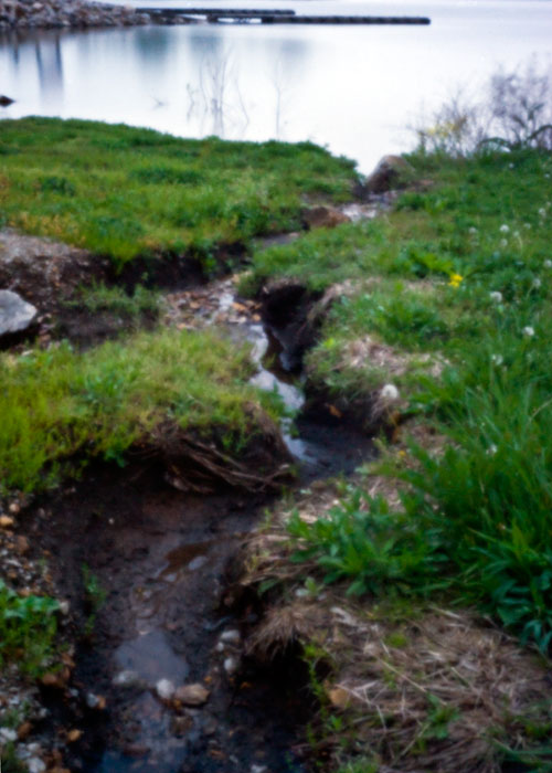 pinhole photograph