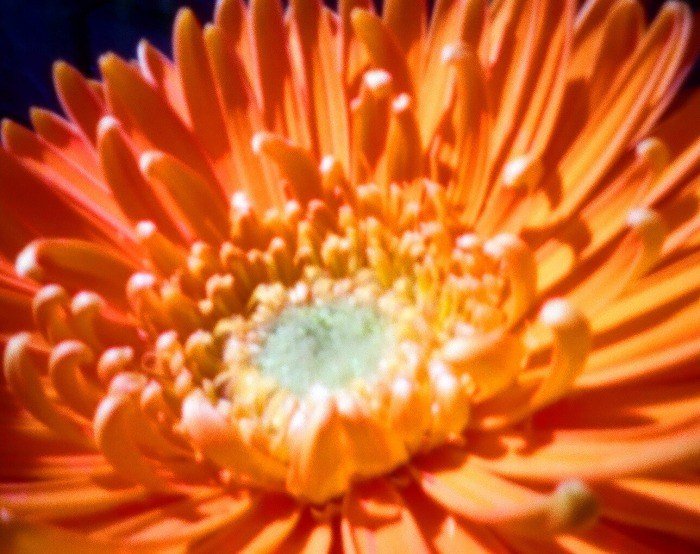 pinhole photograph