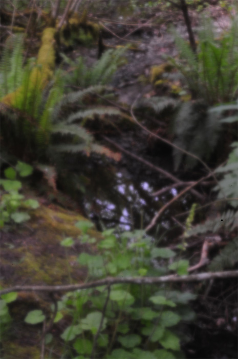 pinhole photograph