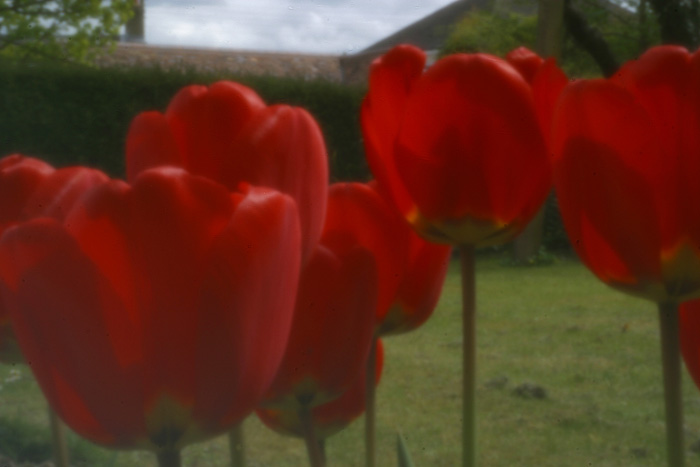 pinhole photograph
