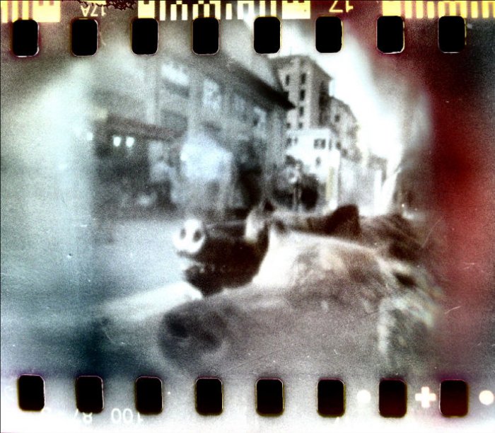 pinhole photograph