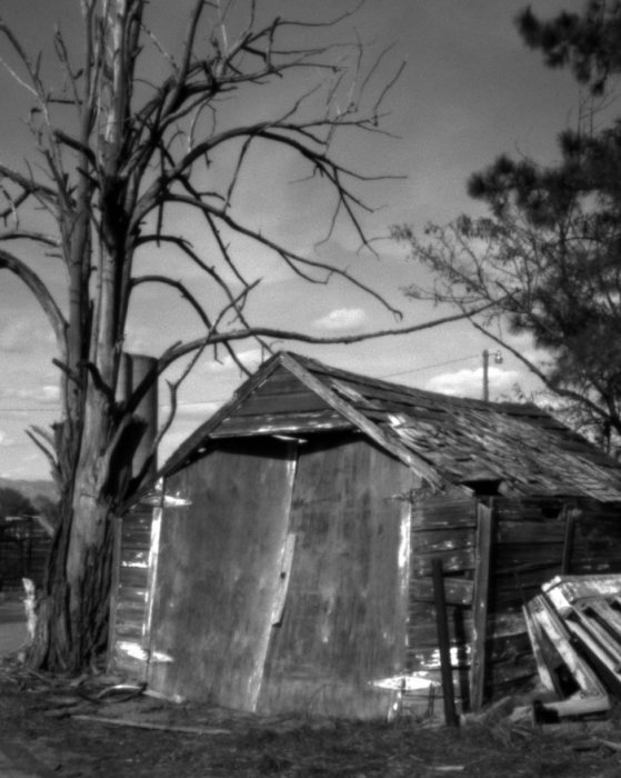 pinhole photograph