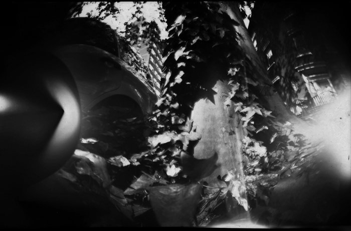 pinhole photograph