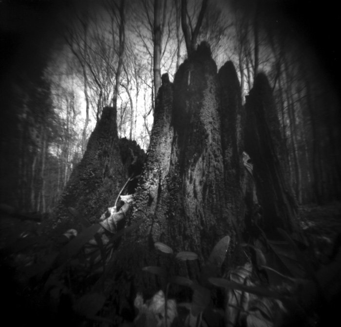 pinhole photograph