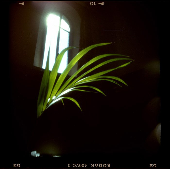 pinhole photograph