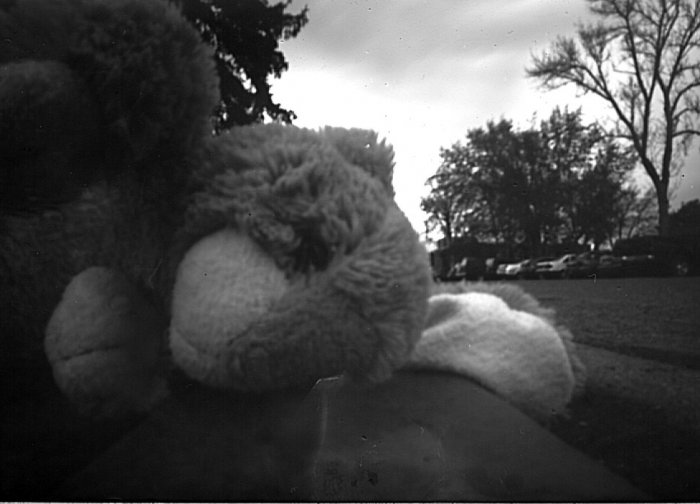 pinhole photograph