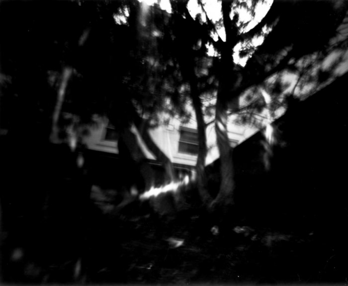 pinhole photograph