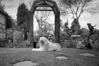 pinhole photograph
