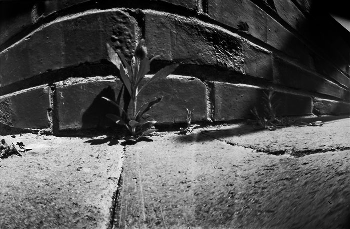 pinhole photograph