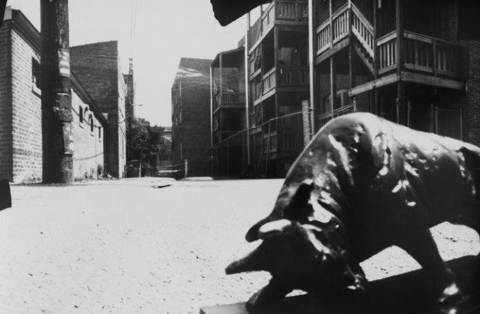 pinhole photograph