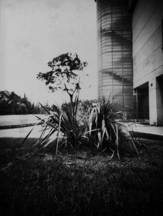 pinhole photograph