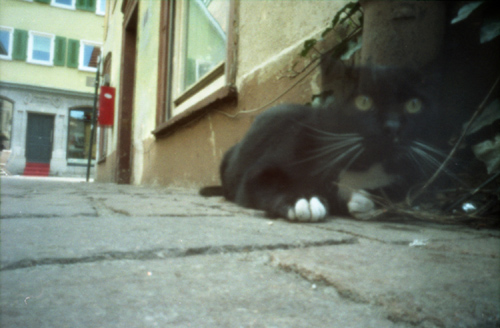 pinhole photograph