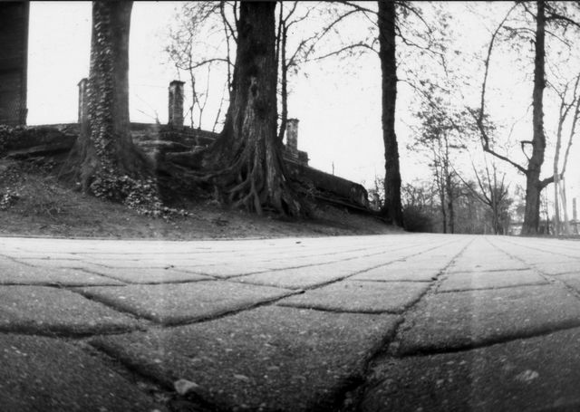 pinhole photograph