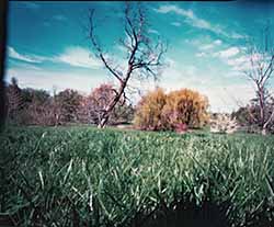 pinhole photograph
