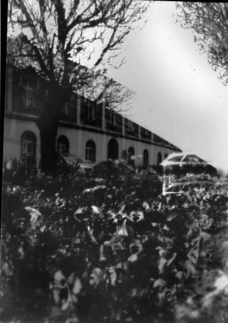 pinhole photograph