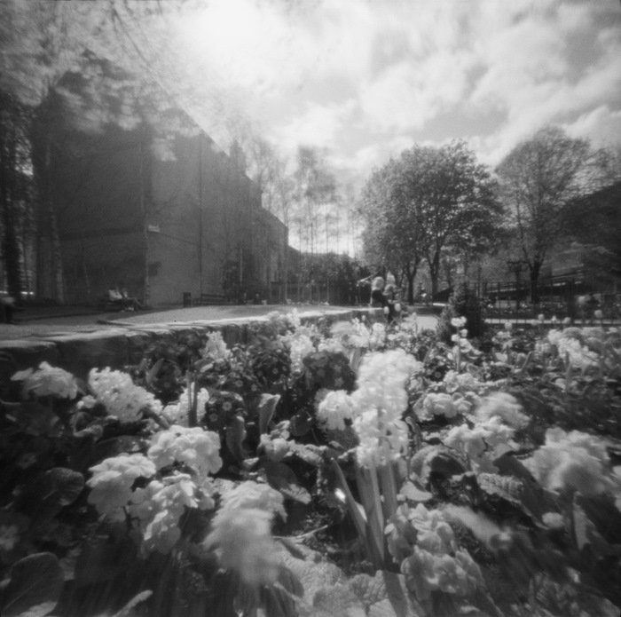 pinhole photograph