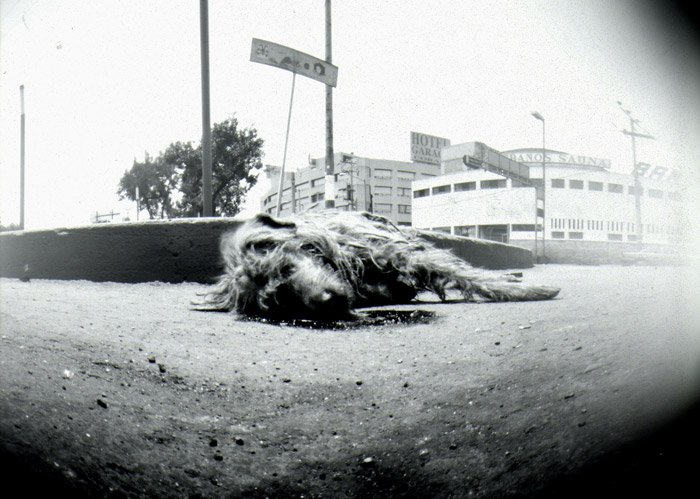 pinhole photograph