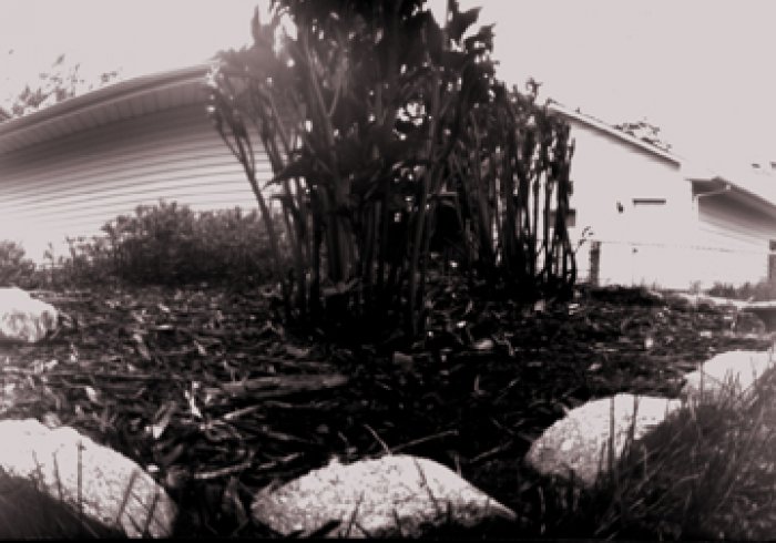 pinhole photograph