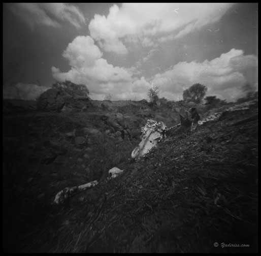 pinhole photograph