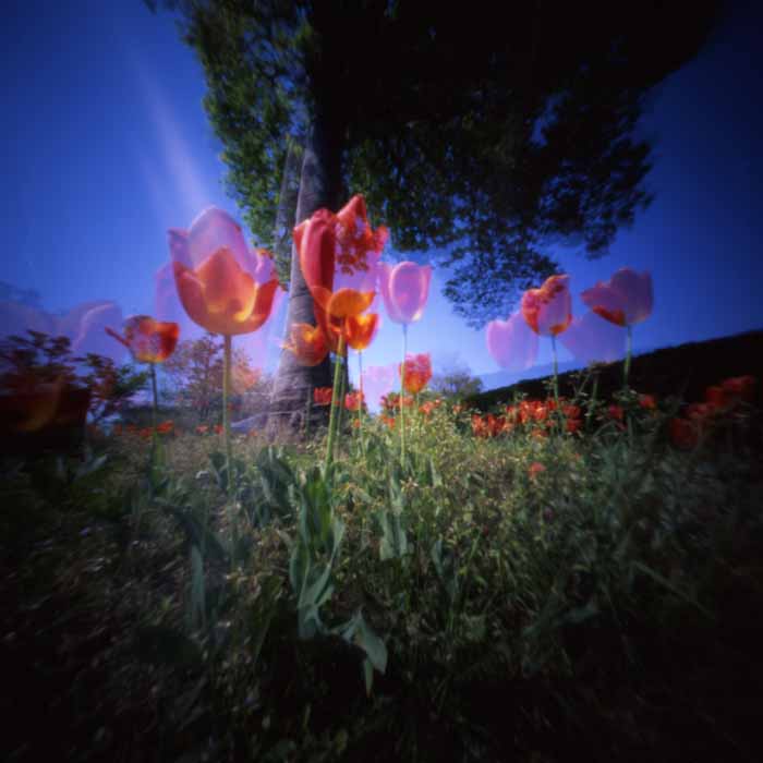 pinhole photograph