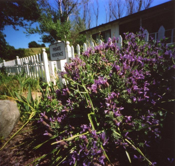 pinhole photograph